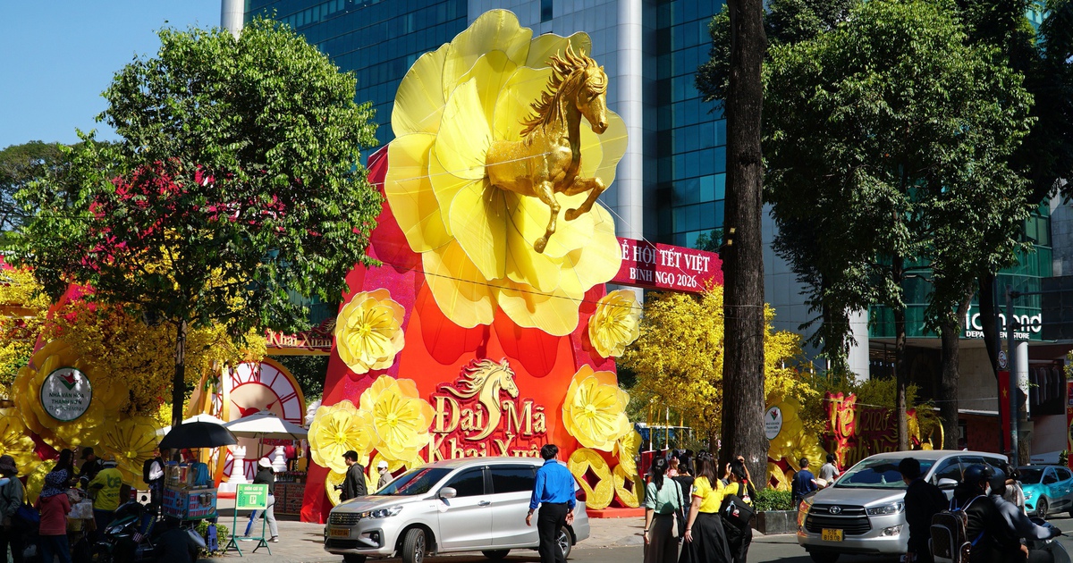 Đường mai - phố ông đồ ở TP.HCM rực rỡ trước giờ mở cửa chính thức