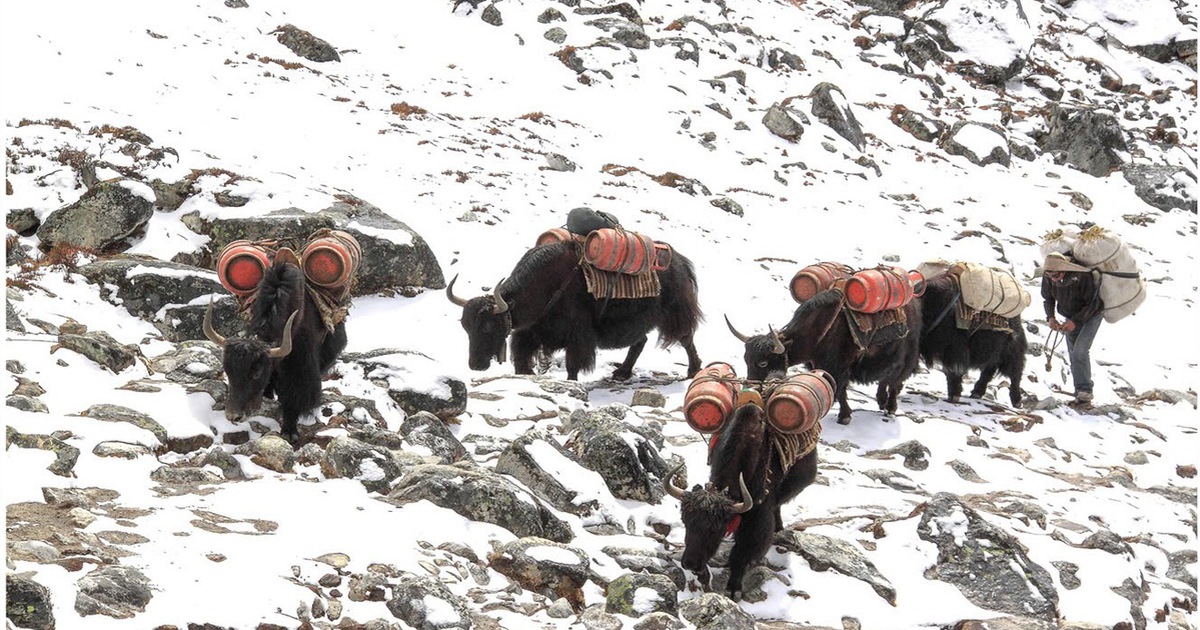 Không check-in, không nghỉ dưỡng: Vì sao nhiều người Việt chi trăm triệu tìm đến Himalaya?