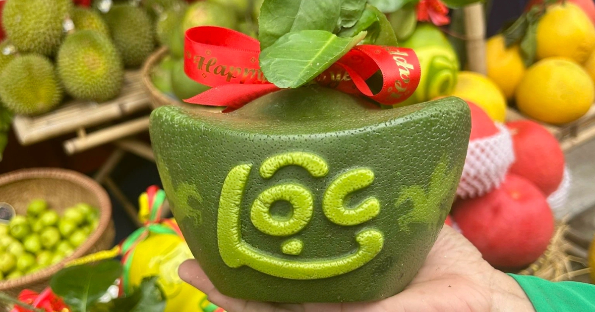 Bưởi mini thỏi vàng tài lộc 'bán bao nhiêu cũng hết' dịp tết