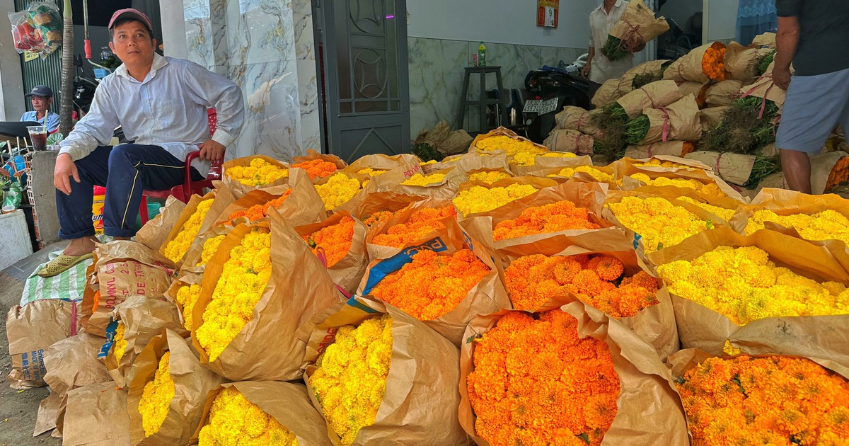 Chợ hoa lớn nhất TP.HCM chiều 23 tháng chạp: Cúc vạn thọ 'xả hàng' đại hạ giá