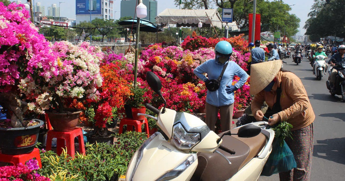 Chợ hoa 'Trên bến dưới thuyền' hot rần rần: Giới trẻ check-in trước giờ G