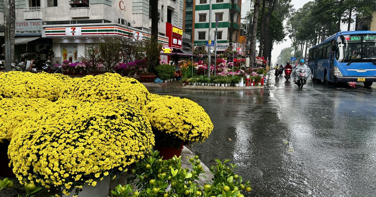 TP.HCM lại xuất hiện mưa trái mùa, nhà vườn lo mất xuân