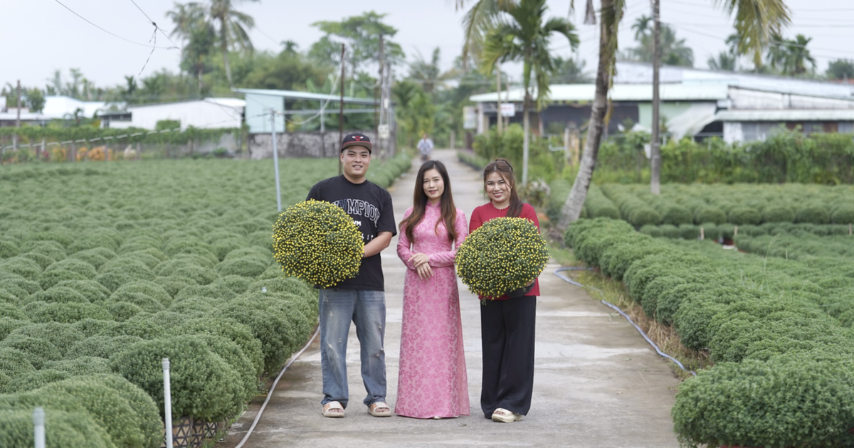 Đơn hàng cây cảnh hoa tết tăng gấp 5 lần trên sàn thương mại điện tử
