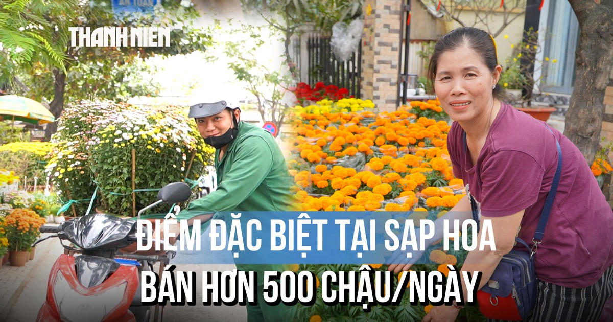 Sạp hoa tết bán hơn 500 chậu/ngày: Nguồn hàng từ đâu, bán thế nào mà được truyền tai 'quá rẻ'?