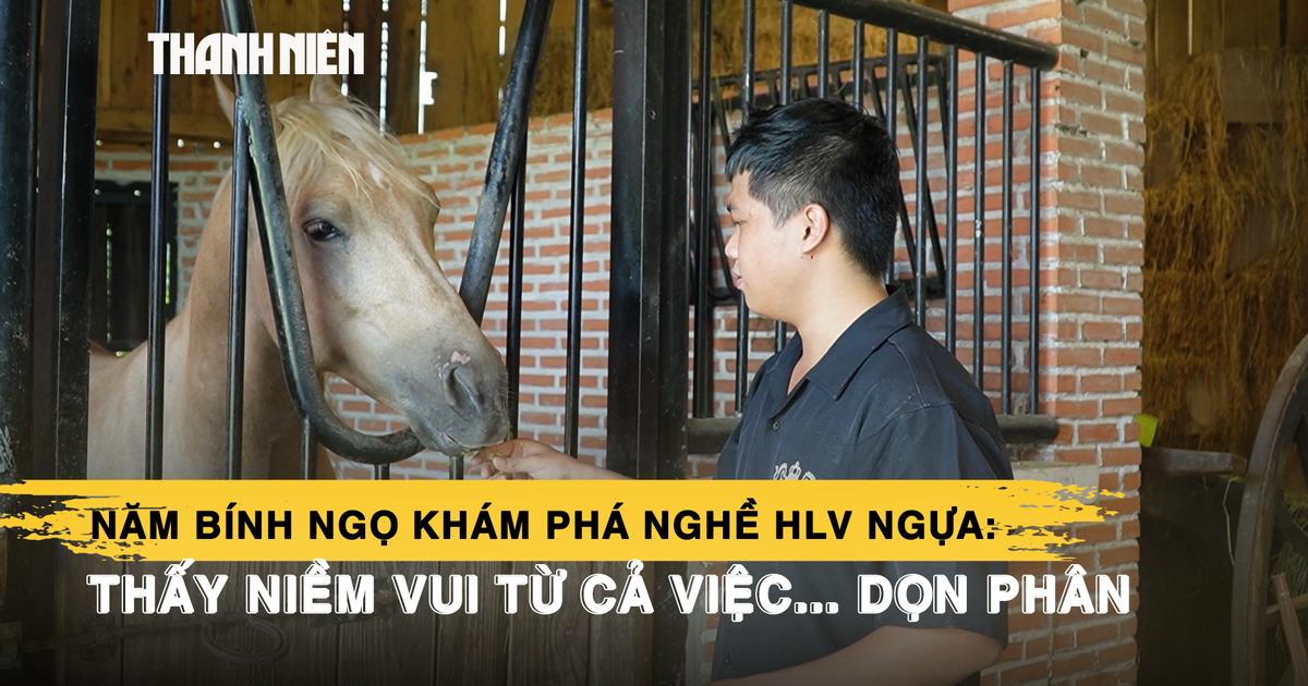 Năm Bính Ngọ khám phá nghề HLV ngựa: Thấy niềm vui từ cả việc... dọn phân