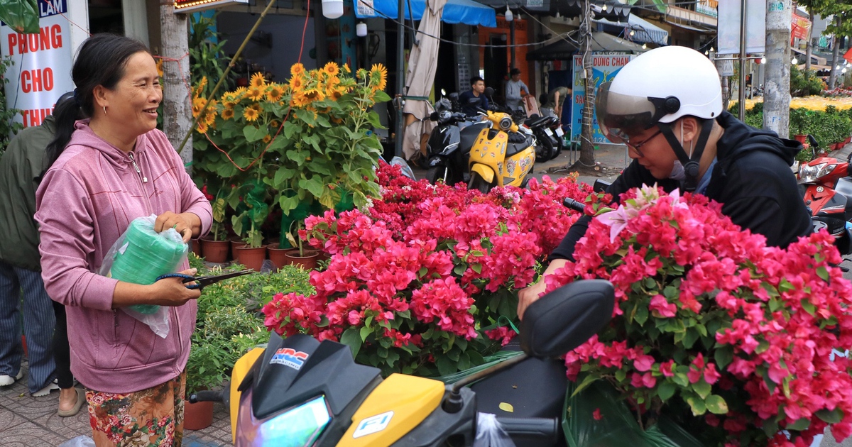 Bất ngờ hoa tết ở TP.HCM: Nhà vườn gặp khách sộp, liền lì xì ngược lại khách
