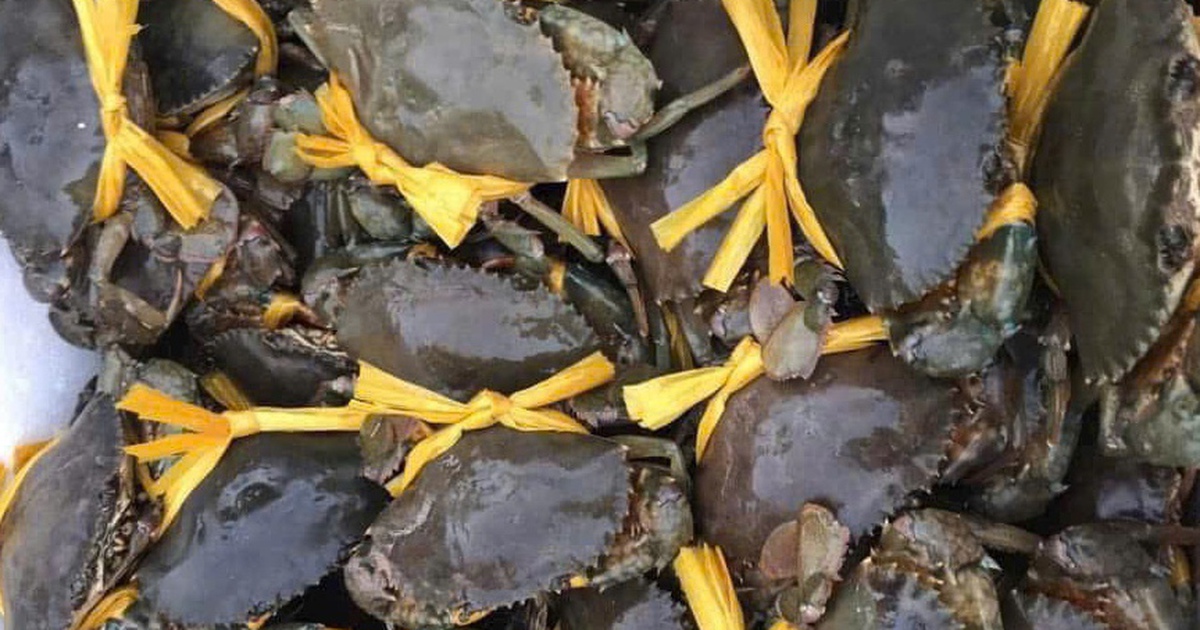 27 tết, cua Cà Mau sắp chạm mức 1,2 triệu đồng/kg