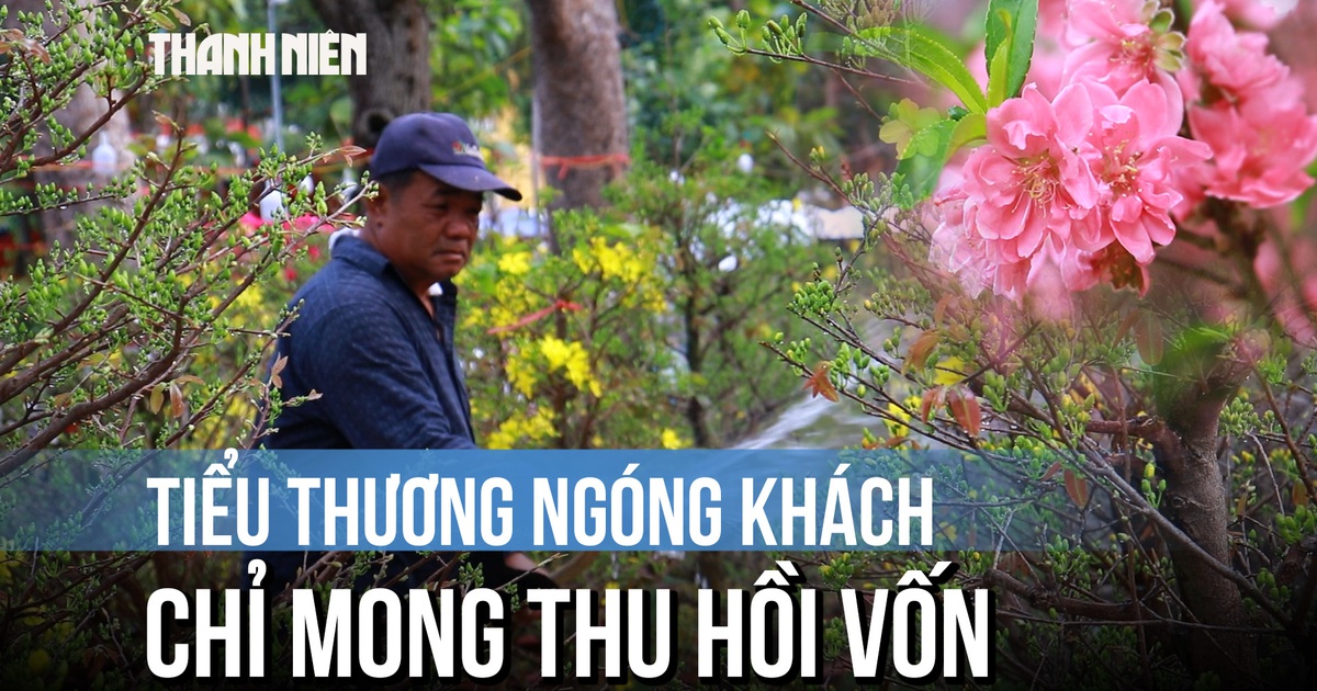 Chợ hoa công viên 23/9 ngày 27 tết: Tiểu thương ngóng khách, mong mỏi một điều...