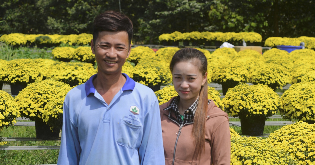 Vay ng&acirc;n h&agrave;ng trồng hoa tết thất bại: 'Mồ h&ocirc;i, nước mắt rồi sẽ kh&ocirc;!'