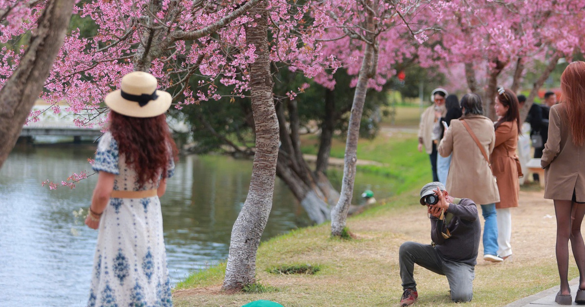 Thợ ảnh dạo Đà Lạt: Bỏ in hình, chuyển sang 'bắn' file, thu tiền triệu mỗi ngày