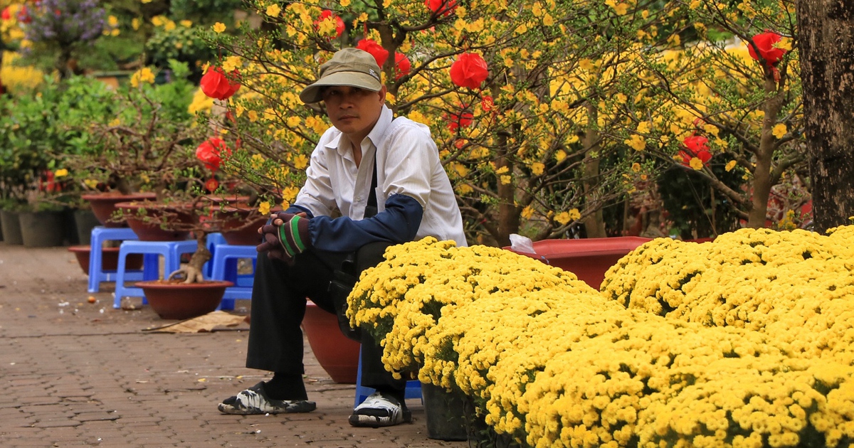 Nỗi niềm ở chợ hoa tết trung t&acirc;m TP.HCM: Kẻ kh&oacute;c người cười ng&agrave;y trước giao thừa