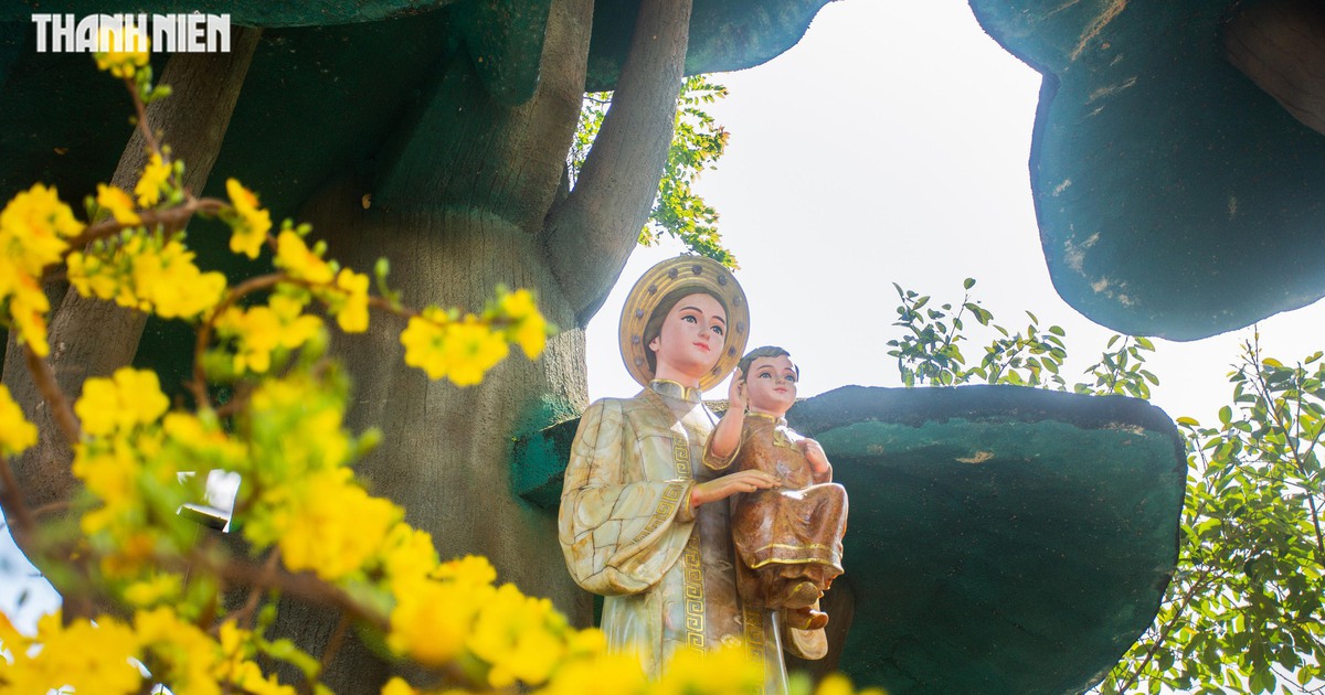 La Vang rực rỡ hoa xuân đón dòng người khắp nơi về cầu năm mới bình an