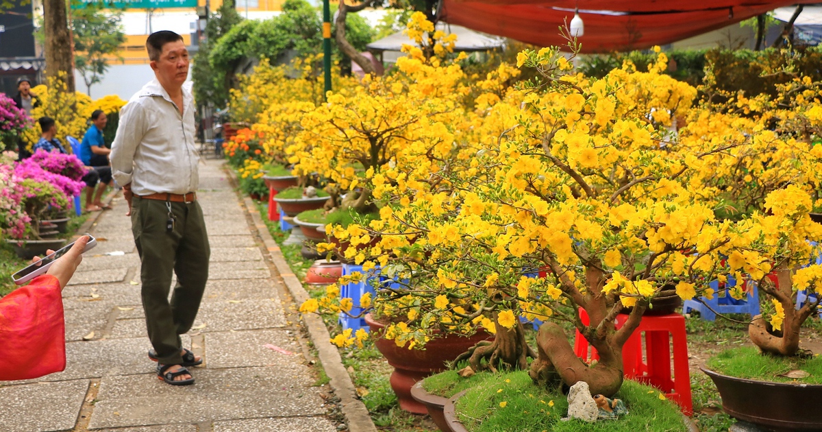 Người bán hoa tết ở TP.HCM cười tươi như hoa: 'Bí quyết là... không nói thách'