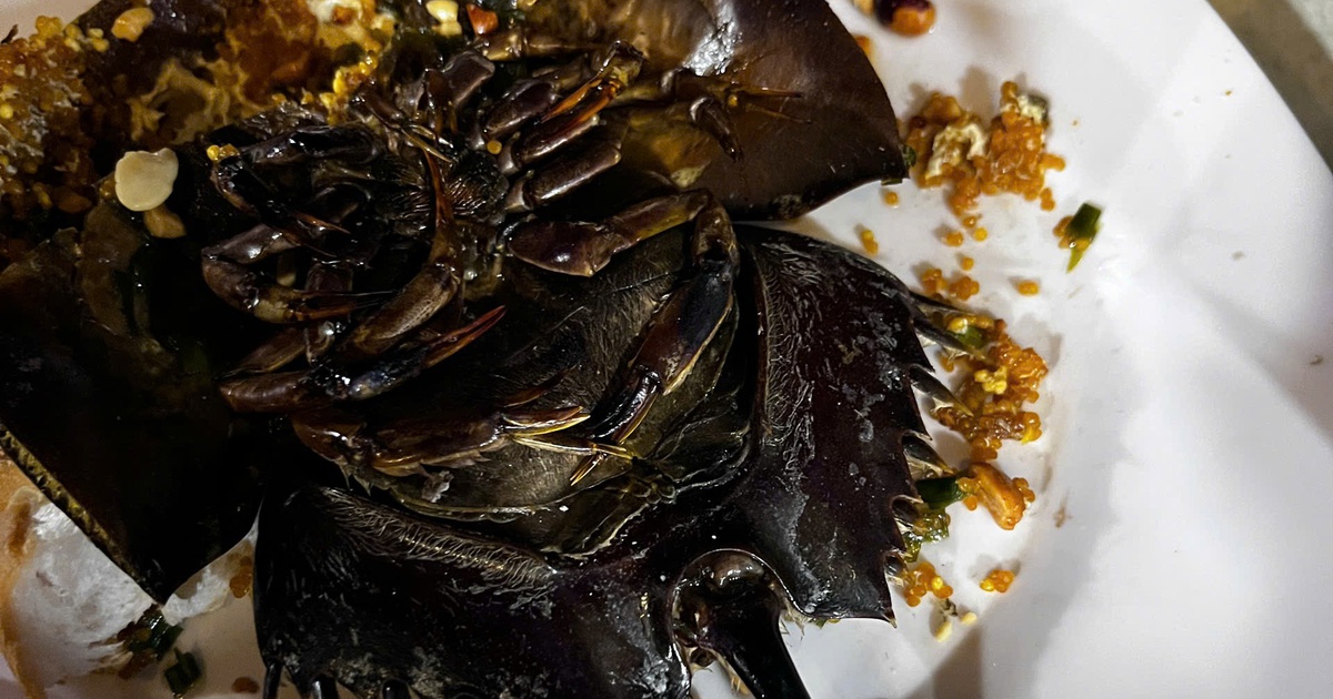 Cà Mau: 3 ca nhập viện nghi ngộ độc, một quán ốc bị tạm dừng hoạt động