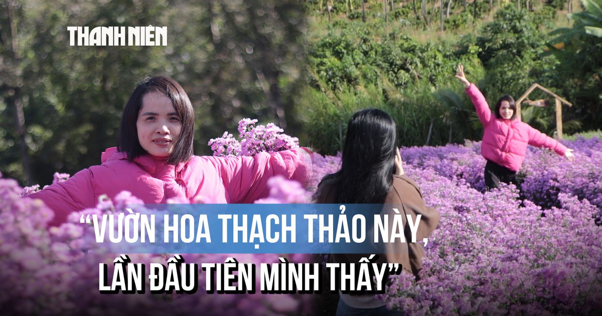 Vườn thạch thảo, cẩm tú cầu nở rộ giữa cao nguyên Đắk Lắk, giới trẻ đổ xô check-in