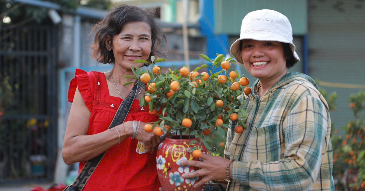 Bán ế 500 chậu hoa tết nhưng không đập bỏ, người phụ nữ mong 'ai cũng có tết'