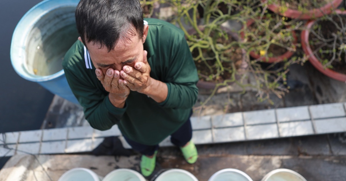 TP.HCM nhìn từ sông Sài Gòn - Kỳ 2: Bến Bình Đông 'giữ nhịp' xuân