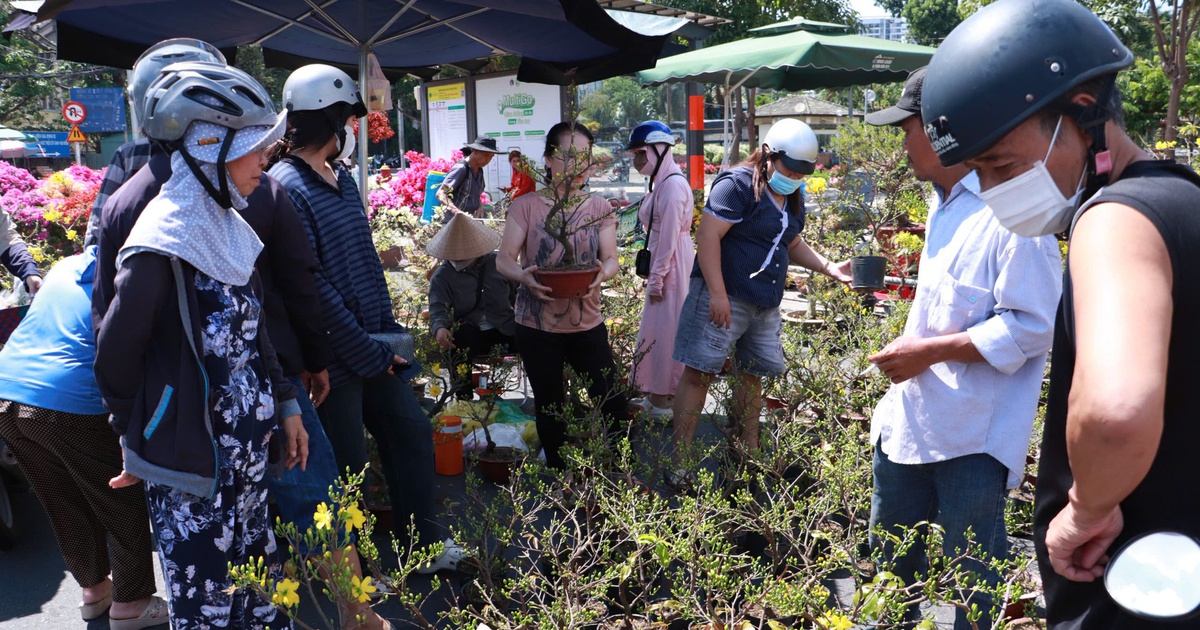 Chiều muộn 29 tết, chợ hoa Gia Định xả lỗ: Nhiều khách vẫn chê giá cao