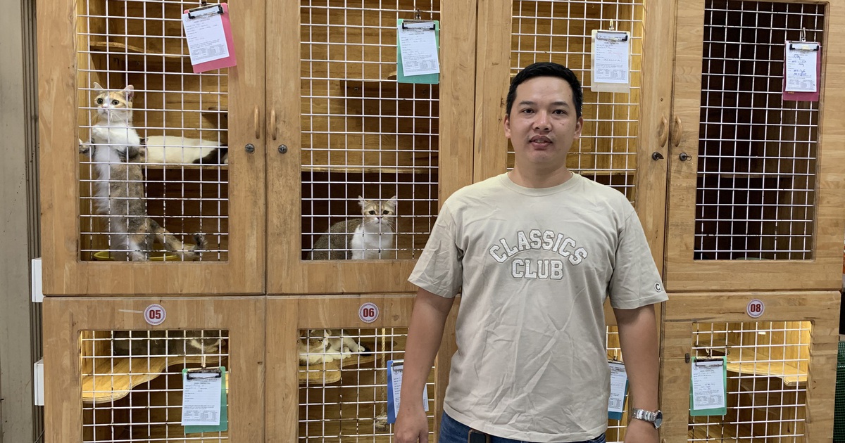 Dịch vụ chăm thú cưng “từ A đến Z” thu hút khách dịp tết