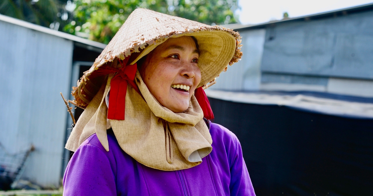 Hoa tết lỡ mùa, nông dân Chợ Lách vẫn giữ trọn chữ nghề