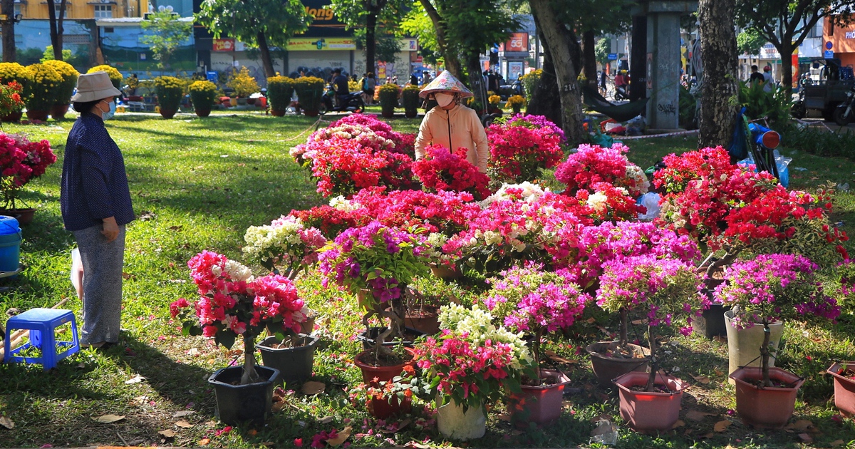 Chợ hoa tết ở TP.HCM sắp đóng cửa trước giao thừa: Người bán xả hàng giảm 50%