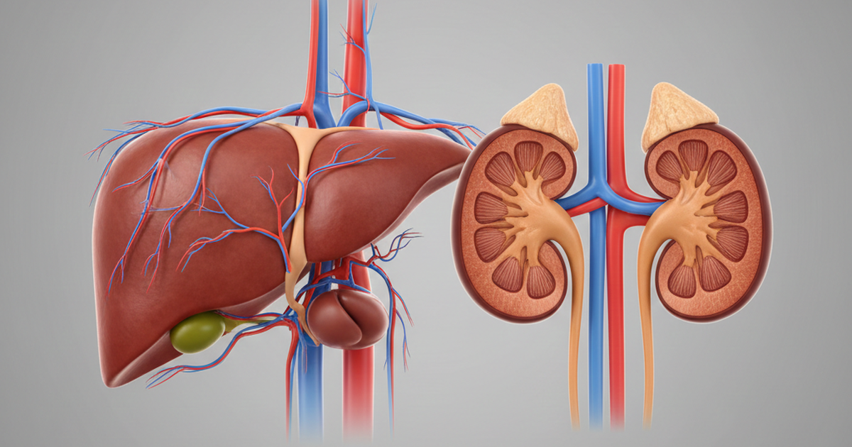 Bảo vệ gan, thận dịp tết: Bác sĩ chỉ cách ăn uống để không ‘quá tải'
