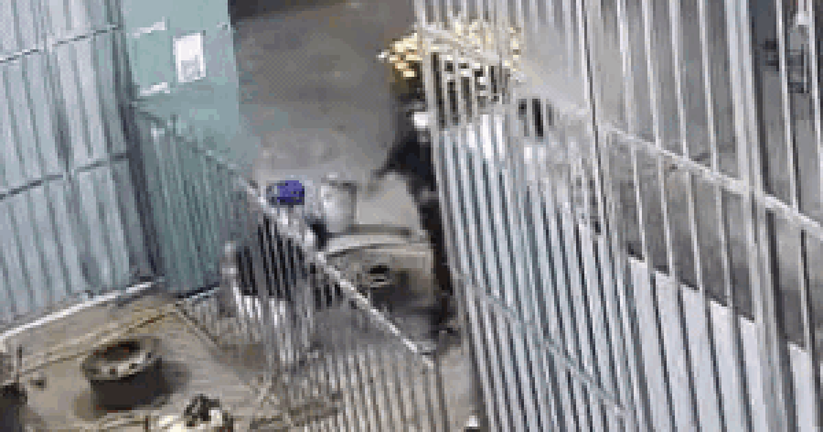 Công an TP.HCM bắt 8 thanh, thiếu niên chém, cướp tài sản của người về quê ăn tết