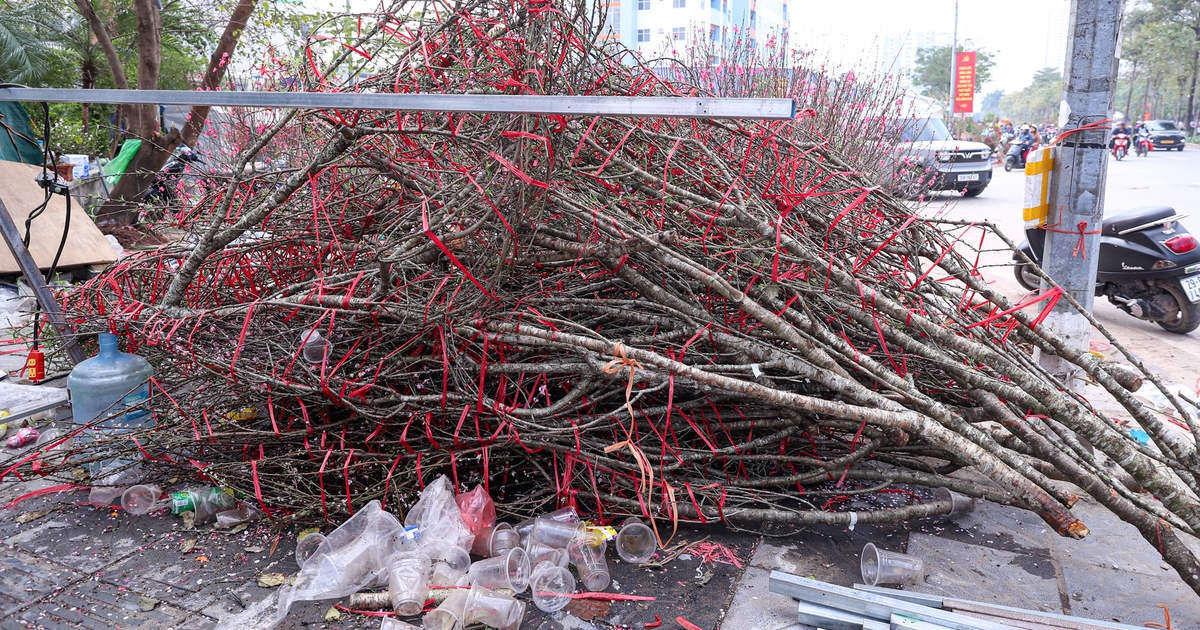 Chiều 29 tết, cành đào tiền triệu thành củi khô, chất đống trên vỉa hè Hà Nội