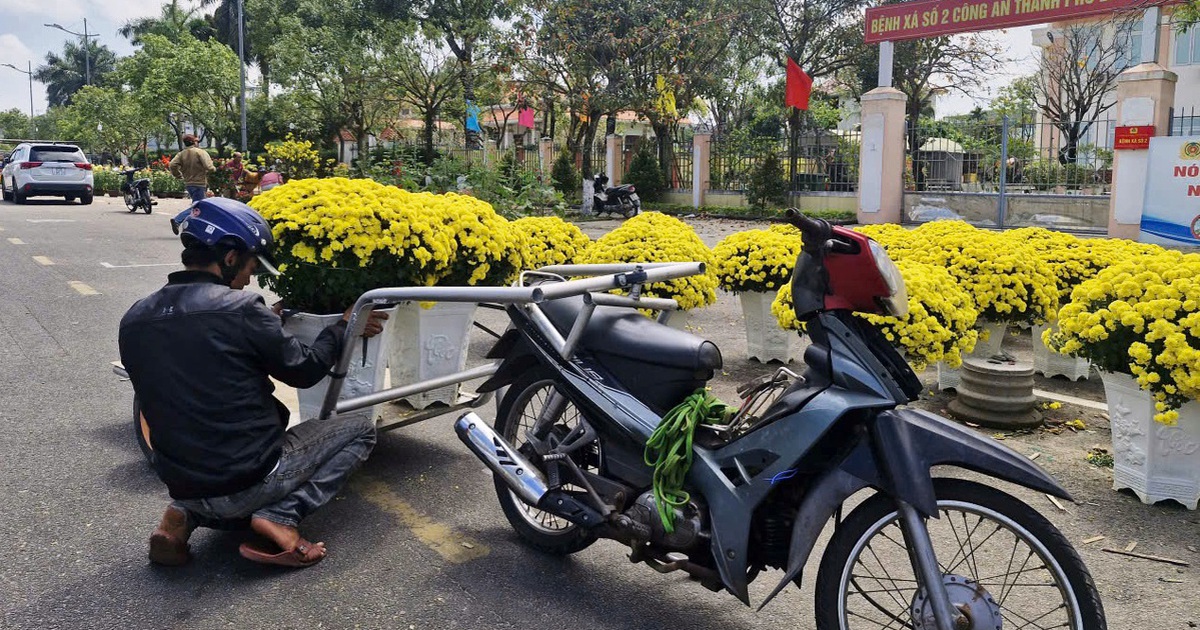 Chợ hoa 29 tết: Khi áp lực công việc và tâm lý 'chờ giá rẻ' gặp nhau