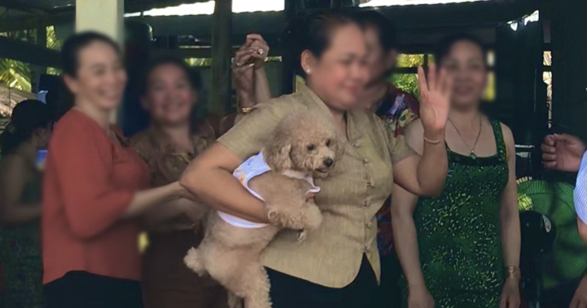 Vị khách 'không mời mà tới' ngày tết, chủ nhà phải nén cảm xúc