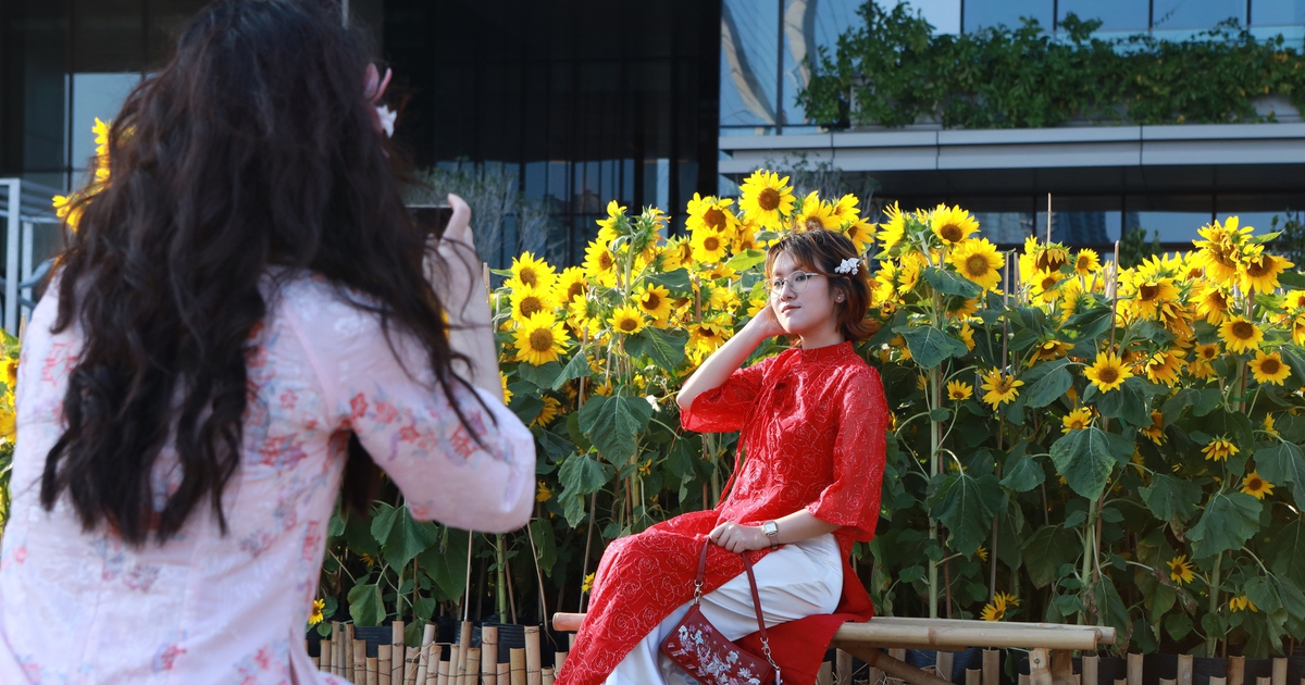 Sau giao thừa cả nhà cùng nhau đi du lịch