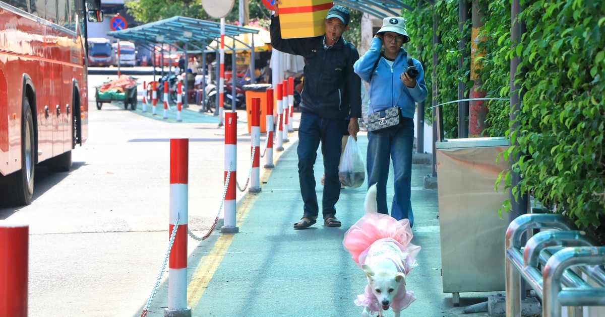 Mùng 2 tết: Bến xe Miền Tây nhiều người lỉnh kỉnh quà quê trở lại TP.HCM sớm