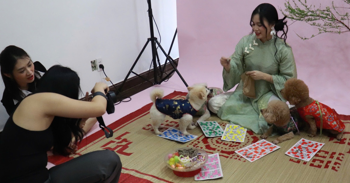Thú cưng lên đồ chụp ảnh tết, chủ chi tiền triệu vẫn vui
