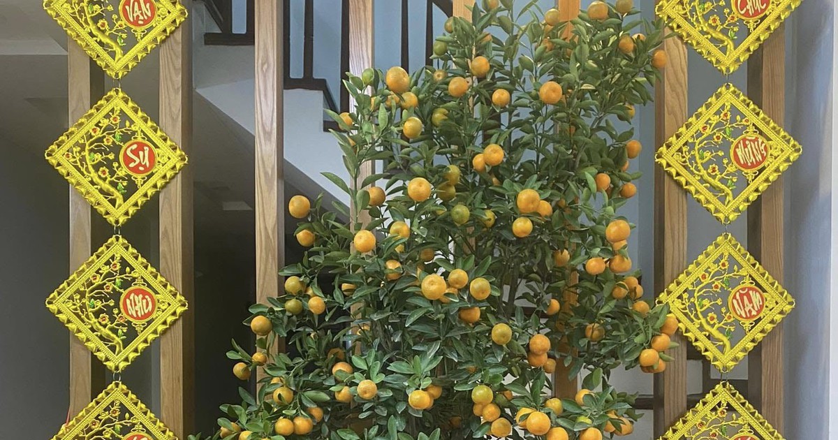 Tết xa quê của người Việt rời Ukraine: Không còn bàn thờ gia tiên