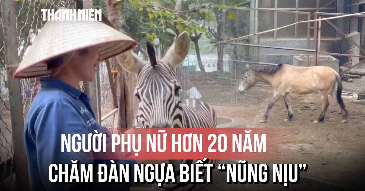 Người phụ nữ hơn 20 năm chăm đàn ngựa biết 'nũng nịu'