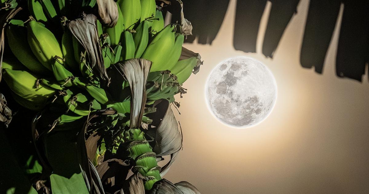 Tối rằm tháng chạp trăng tuyết sáng rực trên bầu trời Việt Nam: Vì sao đặc biệt?