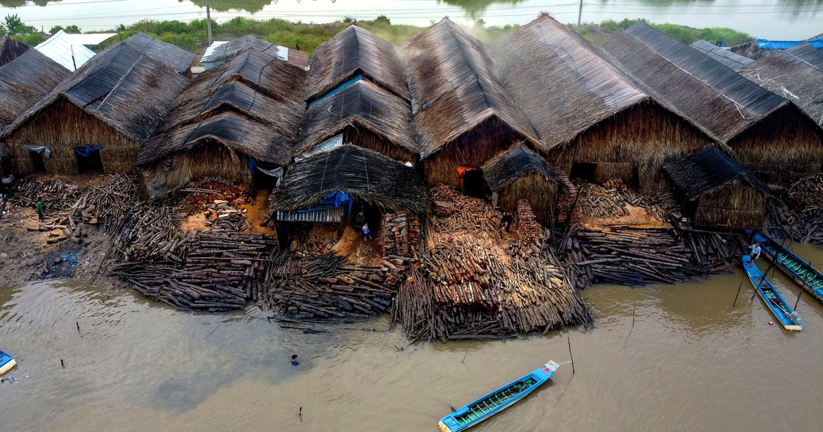 Giữa rừng ngập mặn Cà Mau, nghề hầm than trăm năm vẫn đỏ lửa