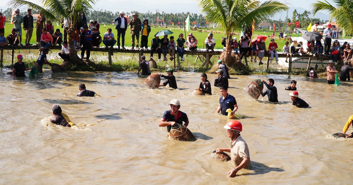 Lễ hội úp nơm, bắt vịt thu hút đông kín người xem ở Mộ Đức