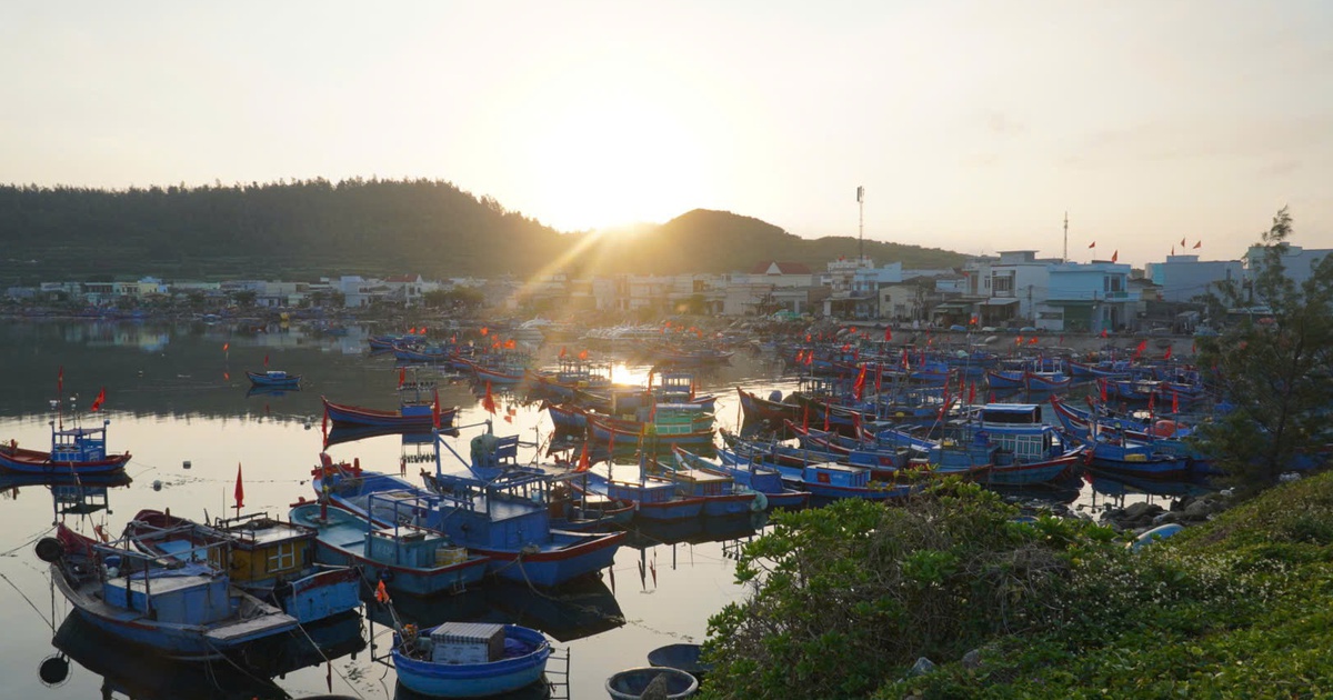 Du xuân ở Lý Sơn, có gì hấp dẫn?