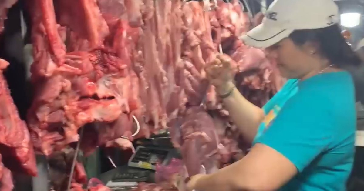 Giá heo hơi hôm nay 23.2.2026: Giảm nhẹ sau kỳ nghỉ tết