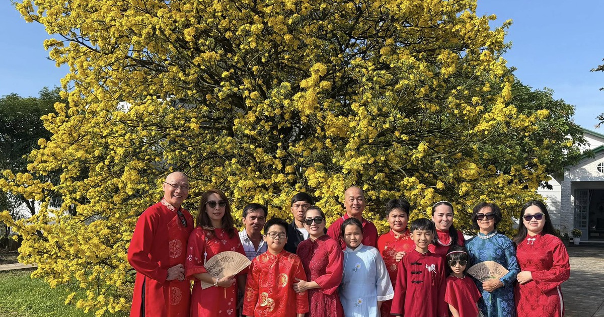 Vượt 150 km, thay 3 bộ đồ để chụp ảnh check-in cây mai 70 tuổi ở Đồng Nai