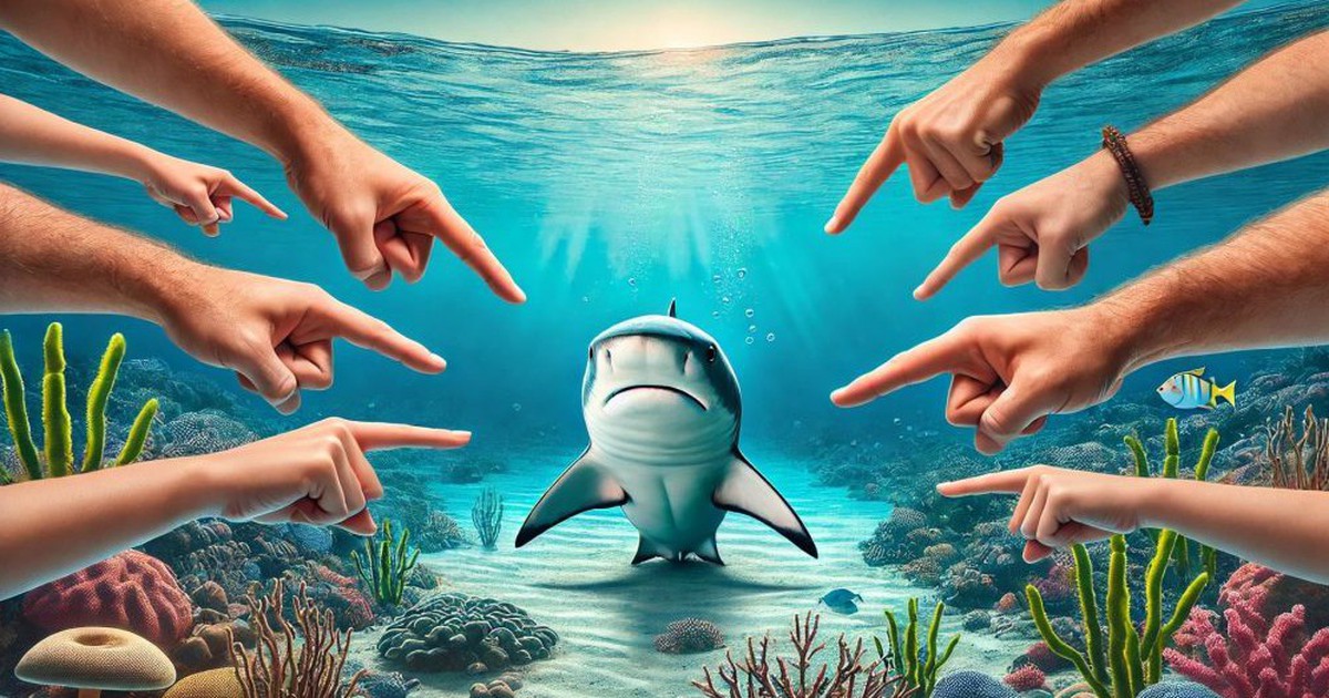 Vì sao cá mập thường bị gọi tên mỗi khi có sự cố cáp quang biển?