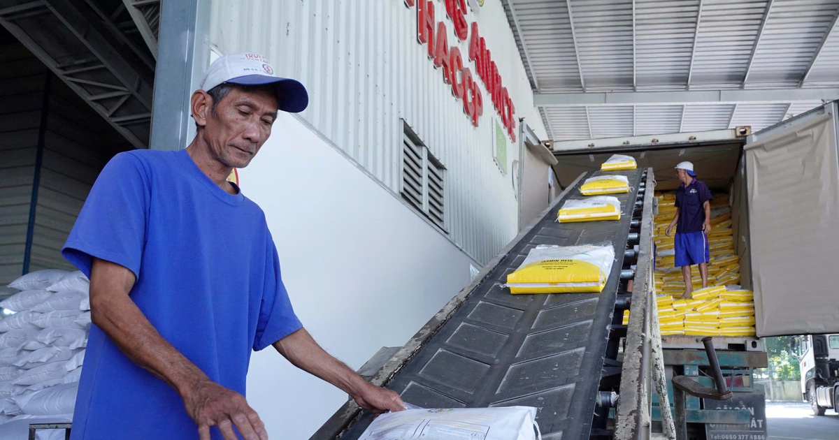 Philippines lên kế hoạch giảm nhập khẩu, doanh nghiệp gạo Việt lo lắng