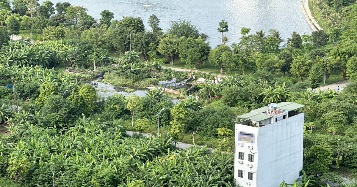 Tranh chấp tài sản giữa chàng rể ngoại quốc và gia đình vợ tại Việt Nam