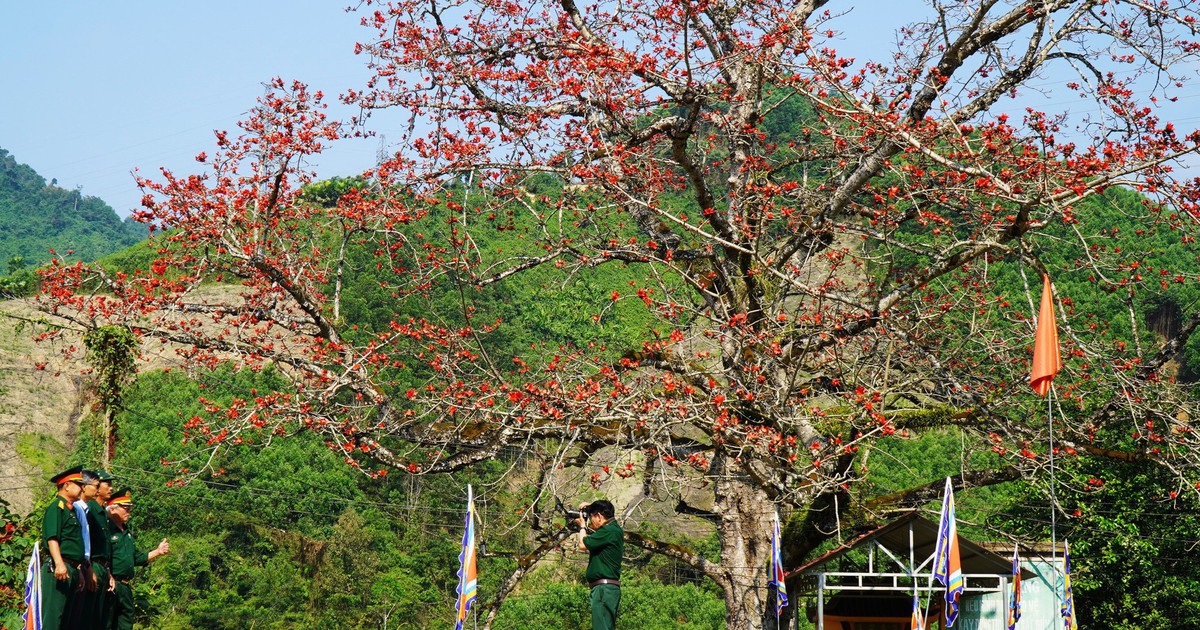 Hoa gạo đỏ rực giữa đại ngàn Trường Sơn ở ngã ba Bến Giằng