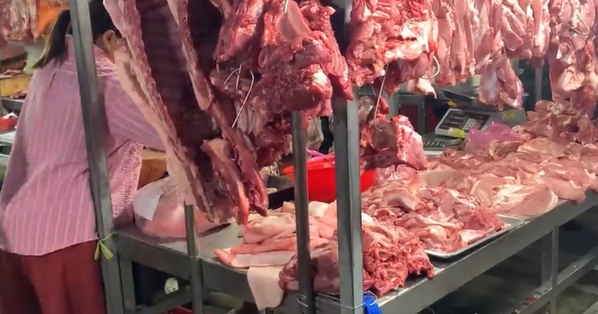 Giá heo hơi hôm nay 27.2.2026: Tiếp tục chiều giảm nhẹ