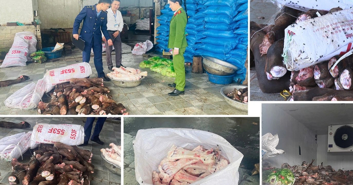 Thanh Hóa: 6 tấn xương trâu, bò thối chuẩn bị bán cho quán phở, quán lẩu