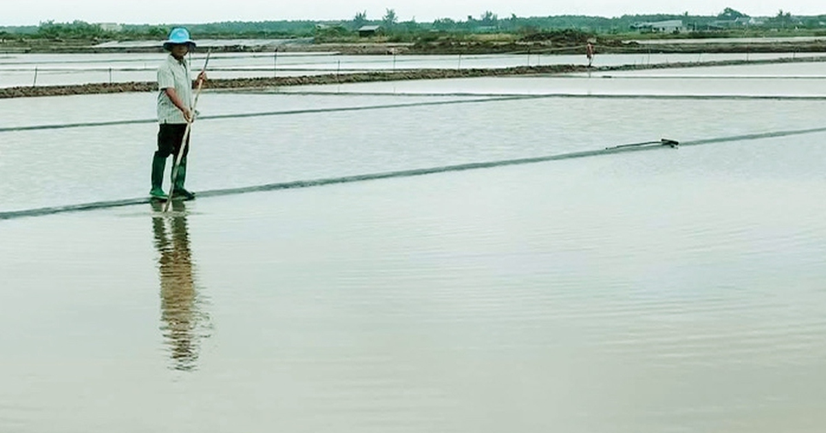 Cà Mau: Mưa trái mùa liên tục 2 ngày, hơn 9.100 tấn muối tan thành nước