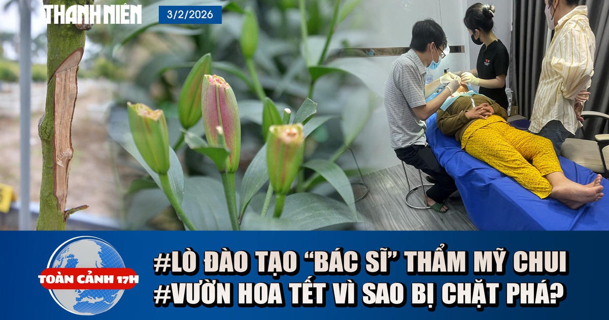 Toàn cảnh 17h: Bên trong lò đào tạo 'bác sĩ' thẩm mỹ siêu tốc | Điêu đứng vườn hoa tết bị phá hoại