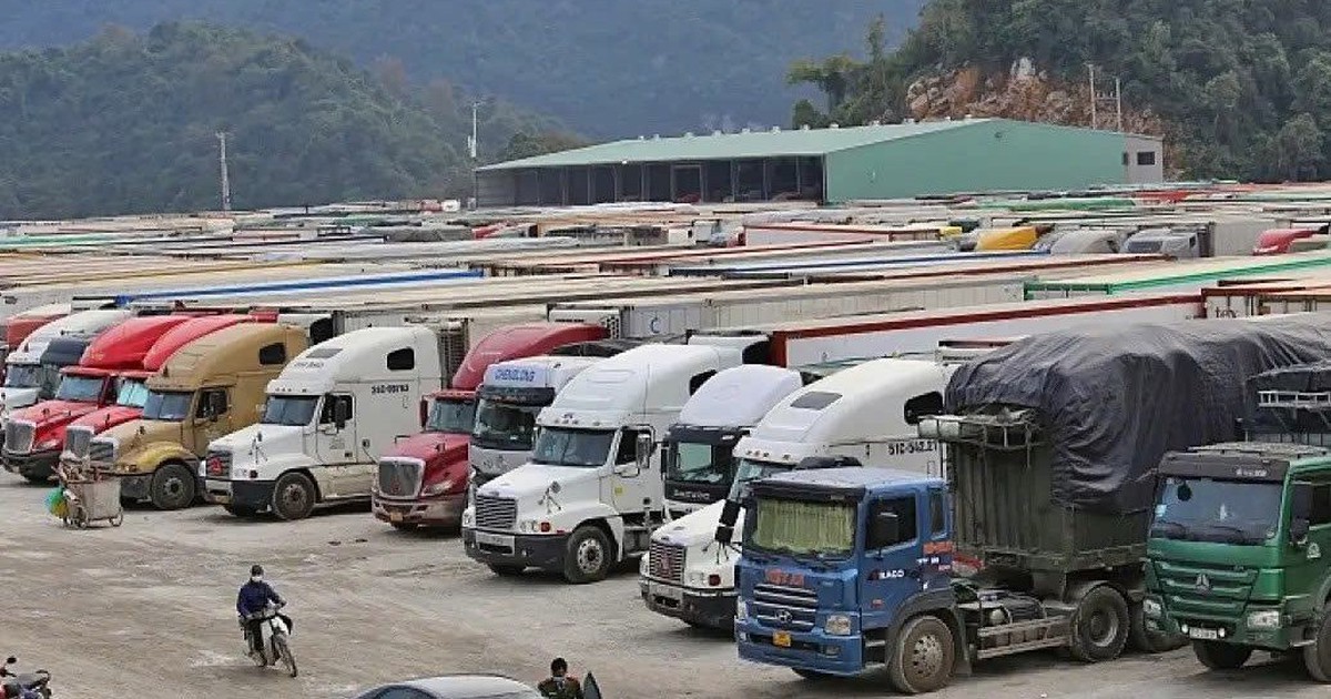 Văn phòng Chính phủ 'hỏa tốc' yêu cầu hướng  dẫn kiểm tra thực phẩm nhập khẩu trước 5.2.